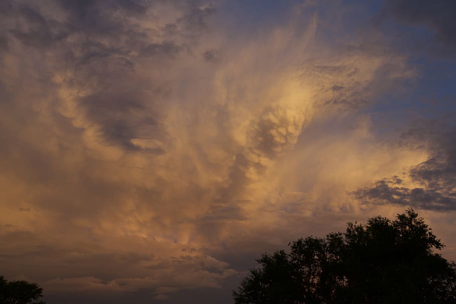 evening, cloud, tree, sunset, nature, sky, twilight, shadow HD wallpaper