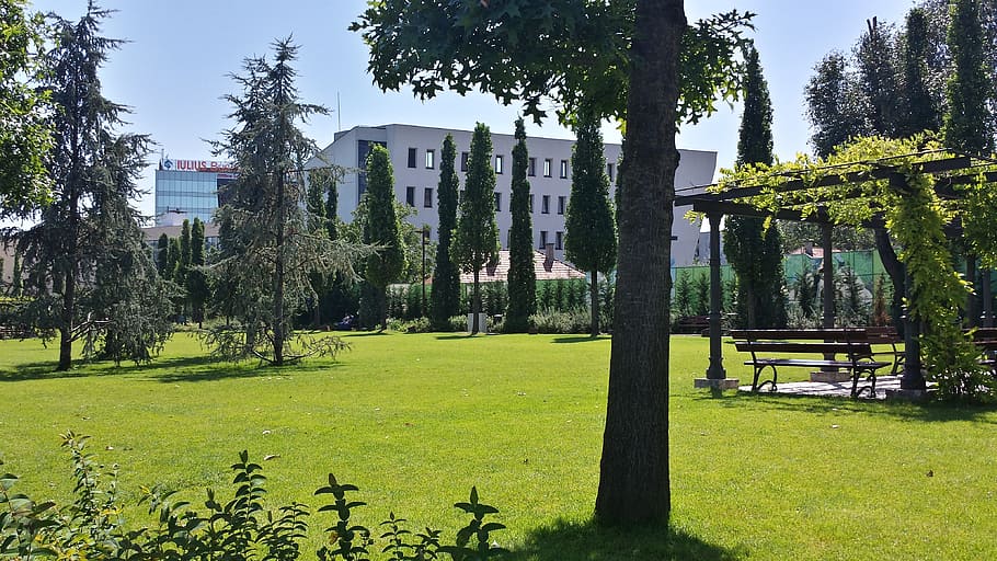 iulius, park, cluj, plant, tree, architecture, building exterior HD wallpaper