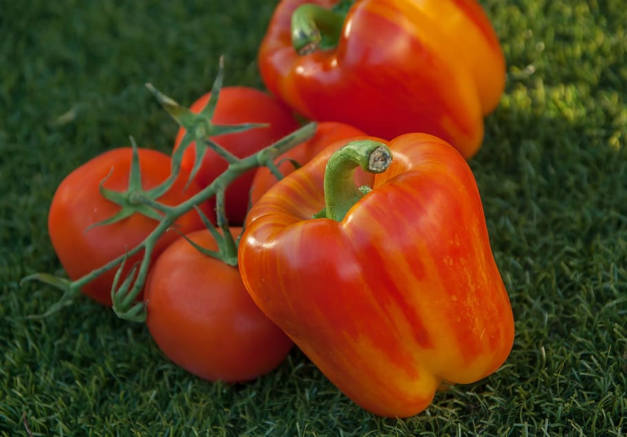 peppers, tomatoes, vegetables, rawness, food and drink, healthy eating HD wallpaper