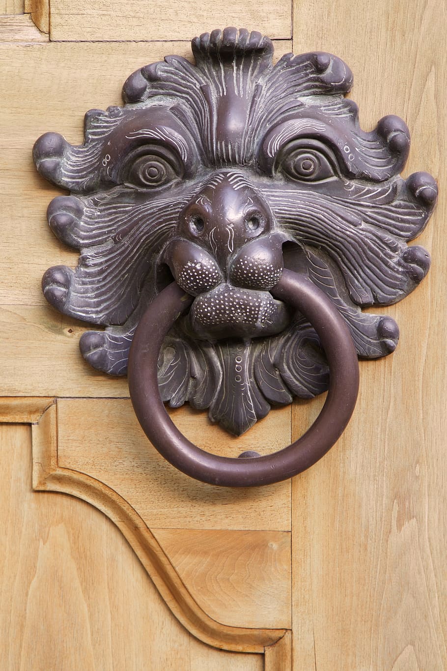 brown metal door knocker, lion head, doorknocker, thumper, gate