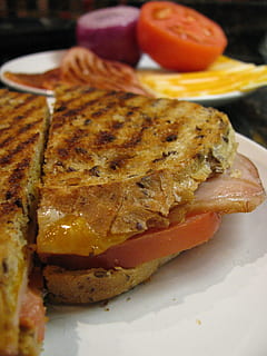 panini, sandwich, grilled, bread, cheese, ham, lunch, healthy HD wallpaper