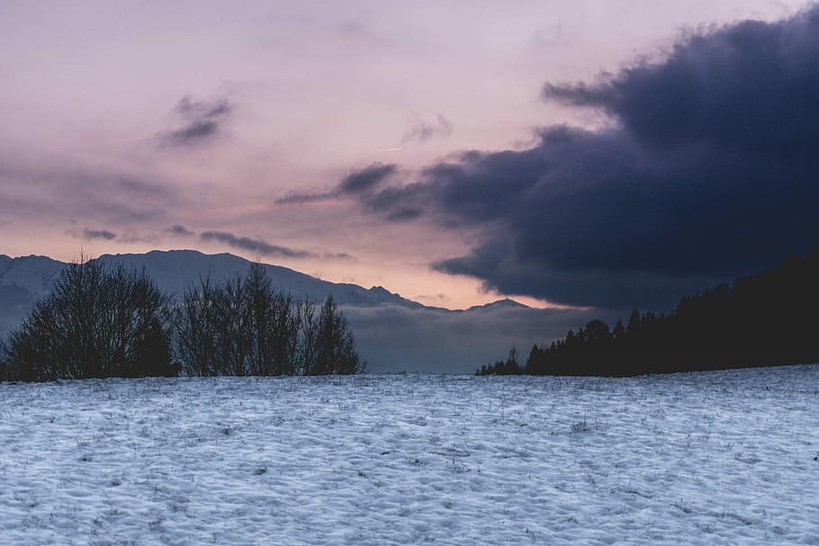 landscape photography of body of water with mountains, silhouette of trees under cloudy sky during golden hour HD wallpaper