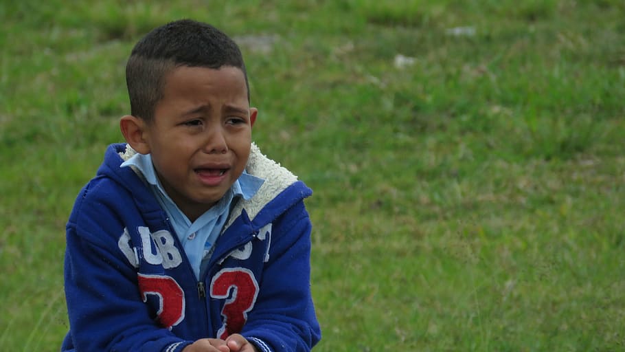 boy in blue zip-up jacket near grass field, child crying, park HD wallpaper