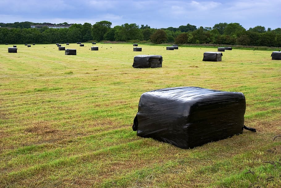 straw, bale, field, meadow, grass, plastic, agriculture, farm HD wallpaper