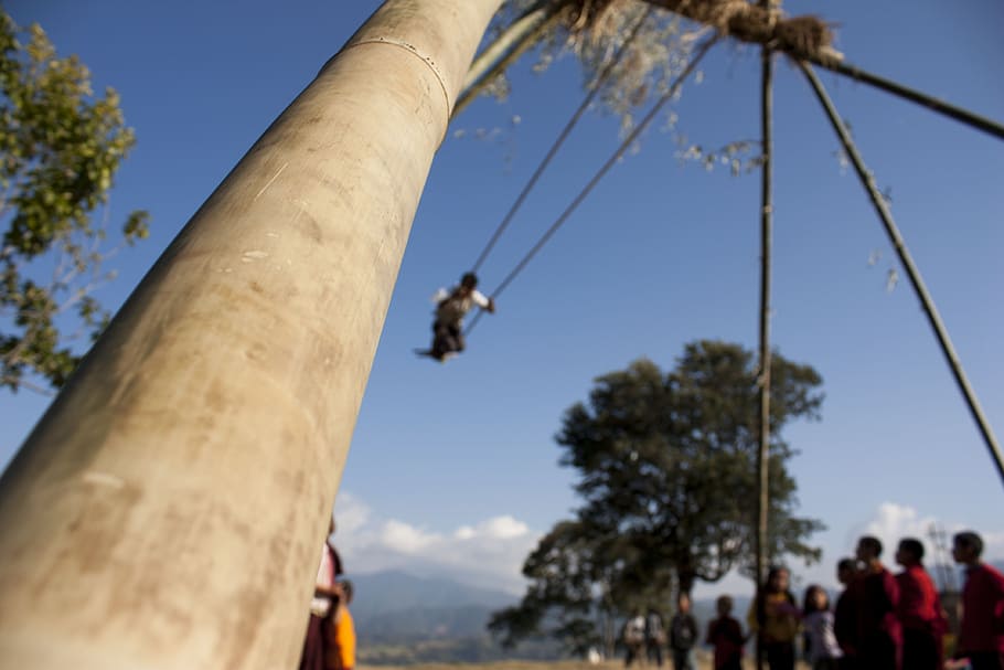 Swing, Bamboo, Swinging, Rope, tied, children, playing, fun HD wallpaper