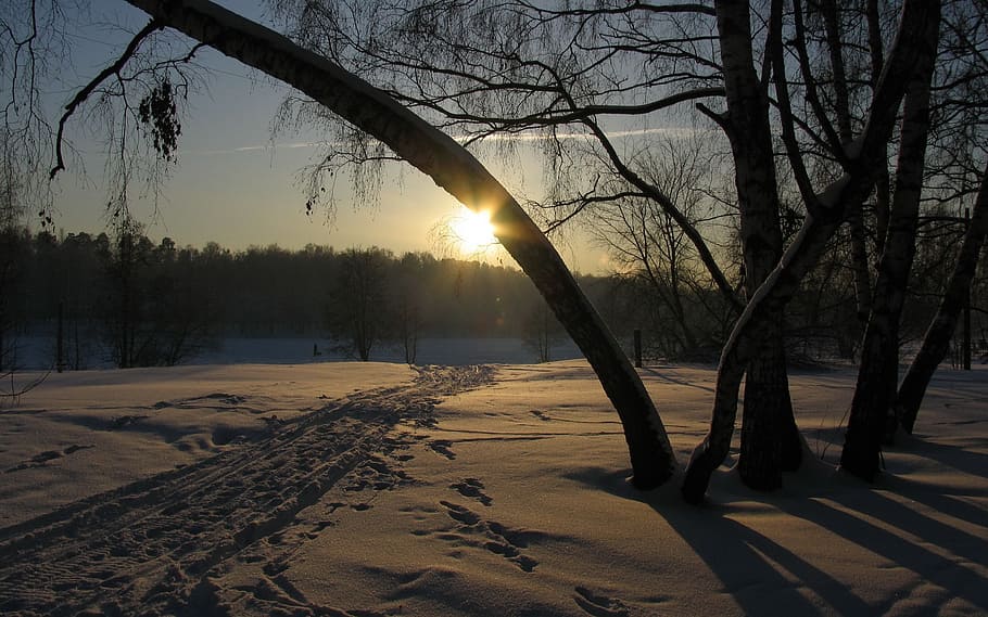 winter, snow, sun, sunset, landscape, cold, nature, winter landscape HD wallpaper