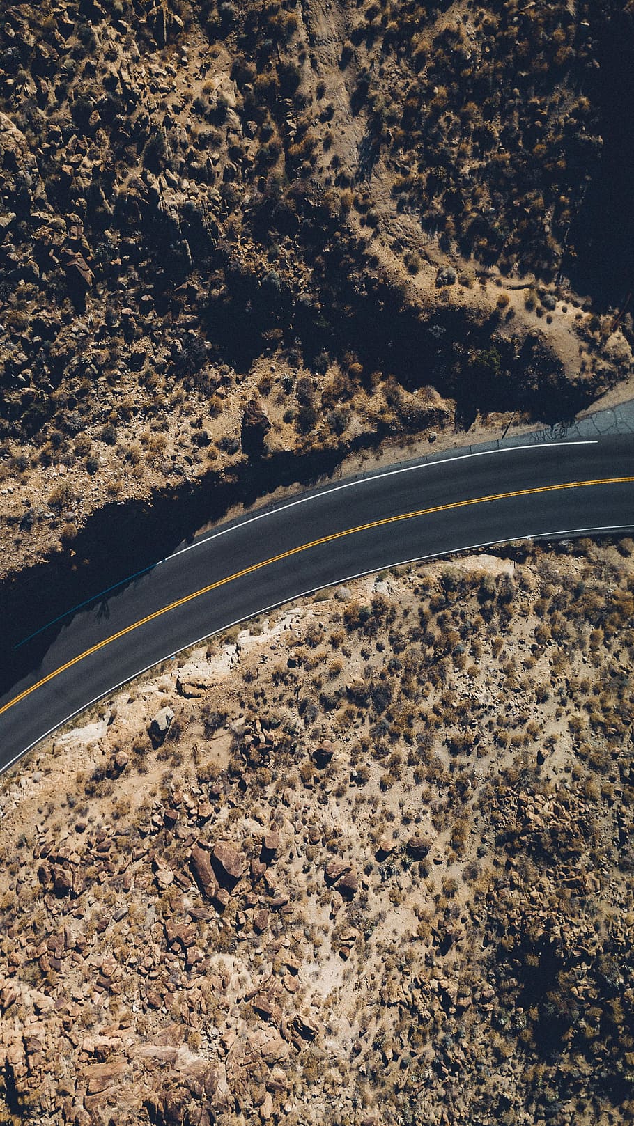 aerial view of road between tall trees at daytime, curve black asphalted road near valley with cactus during daytime HD wallpaper