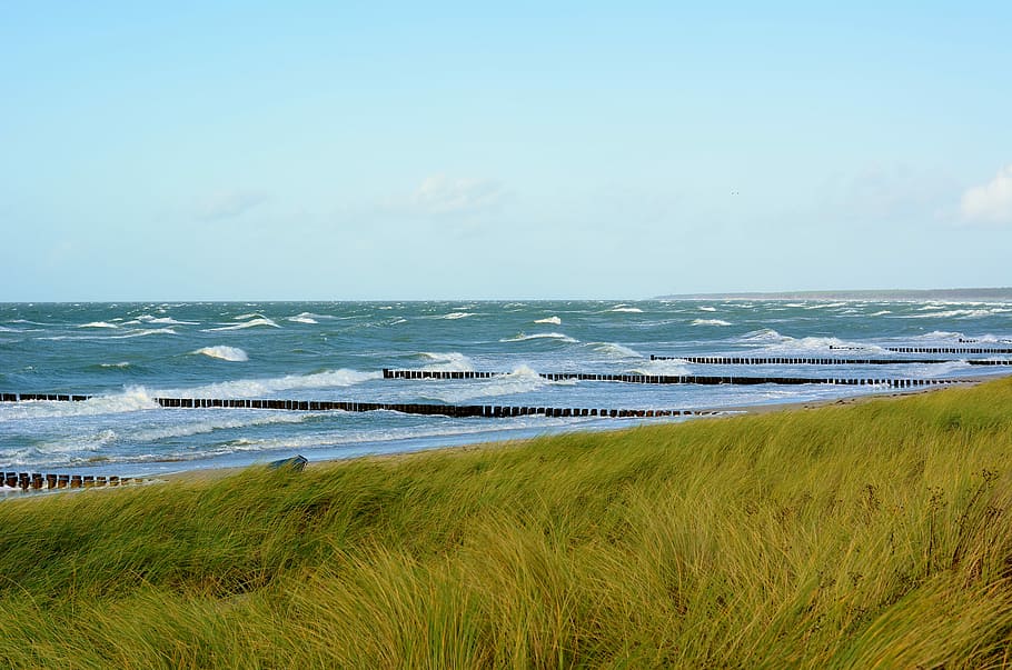 nature, grass, sky, waters, coast, sea, beach, land, beauty in nature HD wallpaper