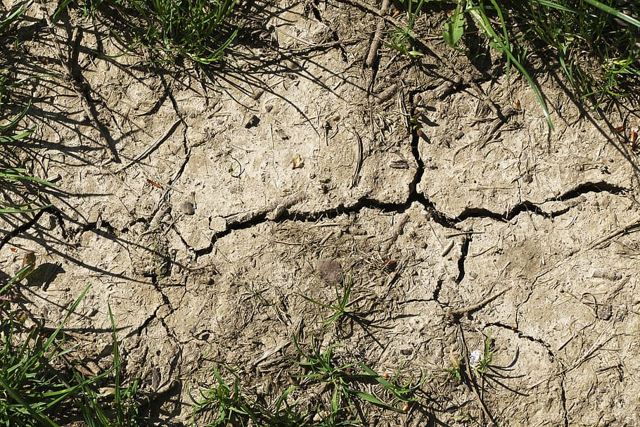 arable, ground, halme, dry, earth, clay, cracks, drought, dehydrated HD wallpaper
