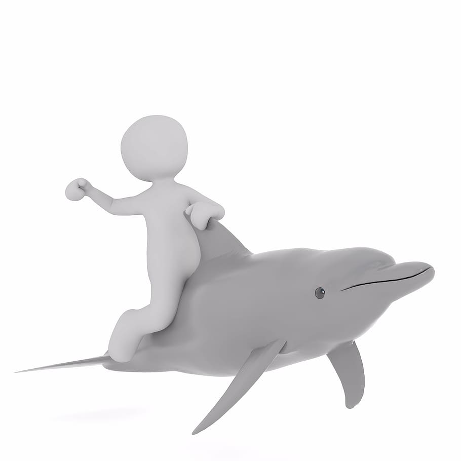 boy riding dolphin clipart, males, 3d model, isolated, full body, HD wallpaper