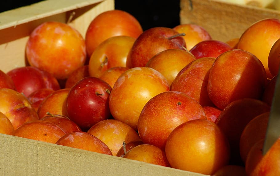 plums, fruit, market, food, food and drink, freshness, healthy eating HD wallpaper