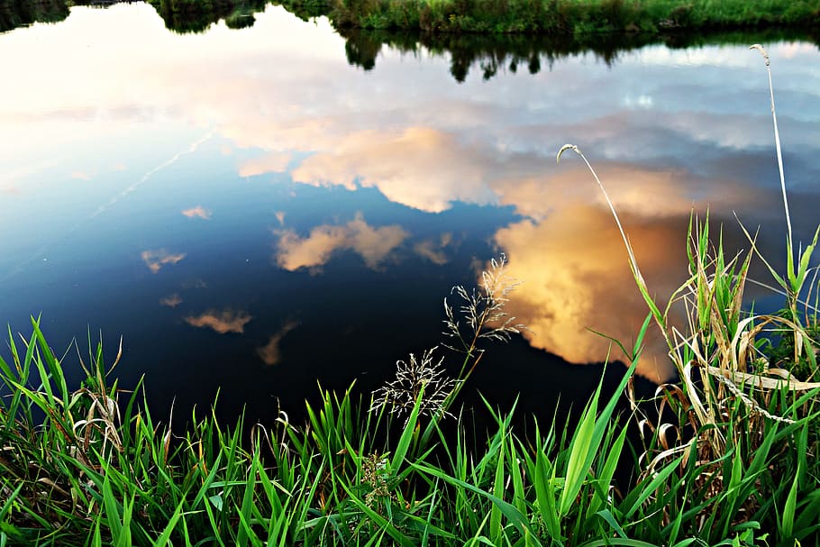Reflection of White Clouds on Pond, environment, grass, lake HD wallpaper