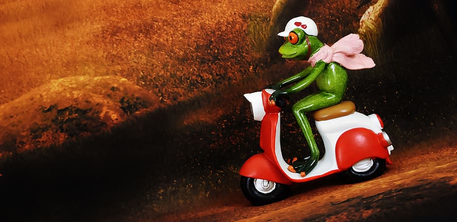 frog riding motorcycle figurine, vespa, figure, roller, vehicle