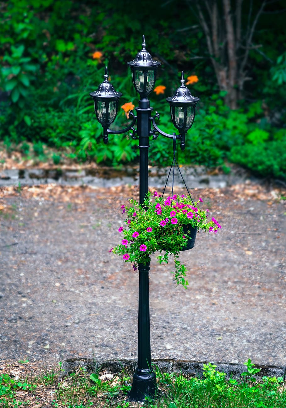 floor lamp, house, path, trees, flowers, nature, street, luminaire HD wallpaper