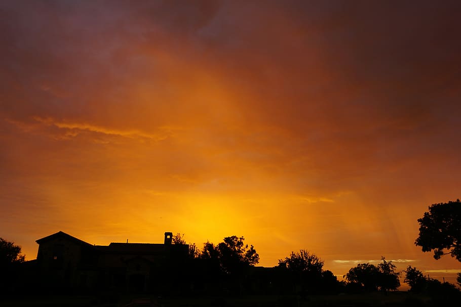 Trees, Nature, Sunrise, Horizon, sky, summer, orange, silhouette HD wallpaper