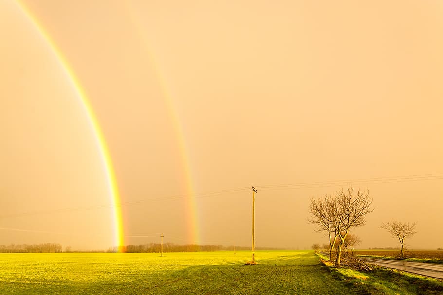 storm, rainbow, sunshine, yellow, meadow, sunset, nature, beauty in nature HD wallpaper
