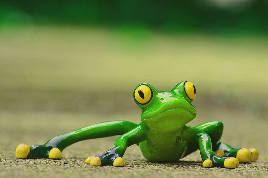 frog, funny, figure, cute, animal, green, sweet, frog eyes HD wallpaper
