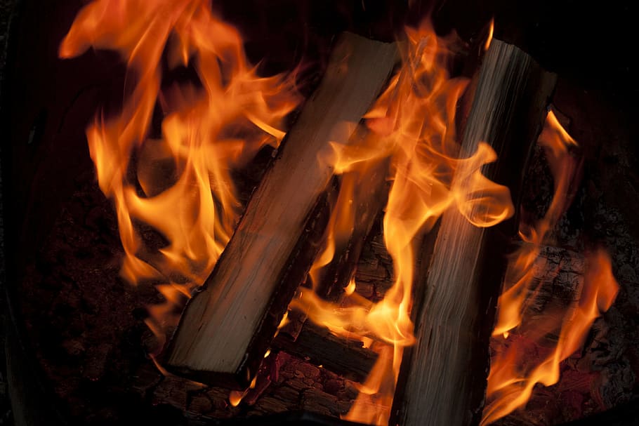 camp, fire, camp fire, camping, nature, campfire, summer, outdoor HD wallpaper