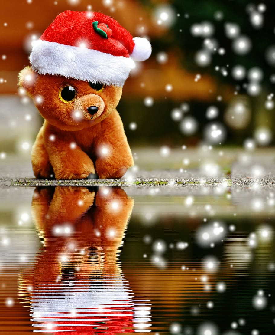 christmas, teddy, snow, water, mirroring, stuffed animal, soft toy, HD wallpaper
