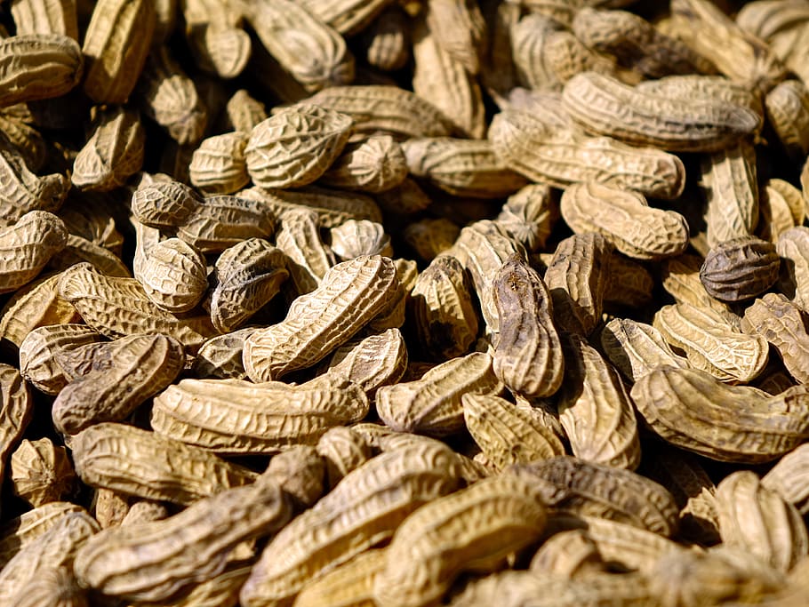 peanuts, snack, crack, shell, food, brown, dry, large group of objects HD wallpaper