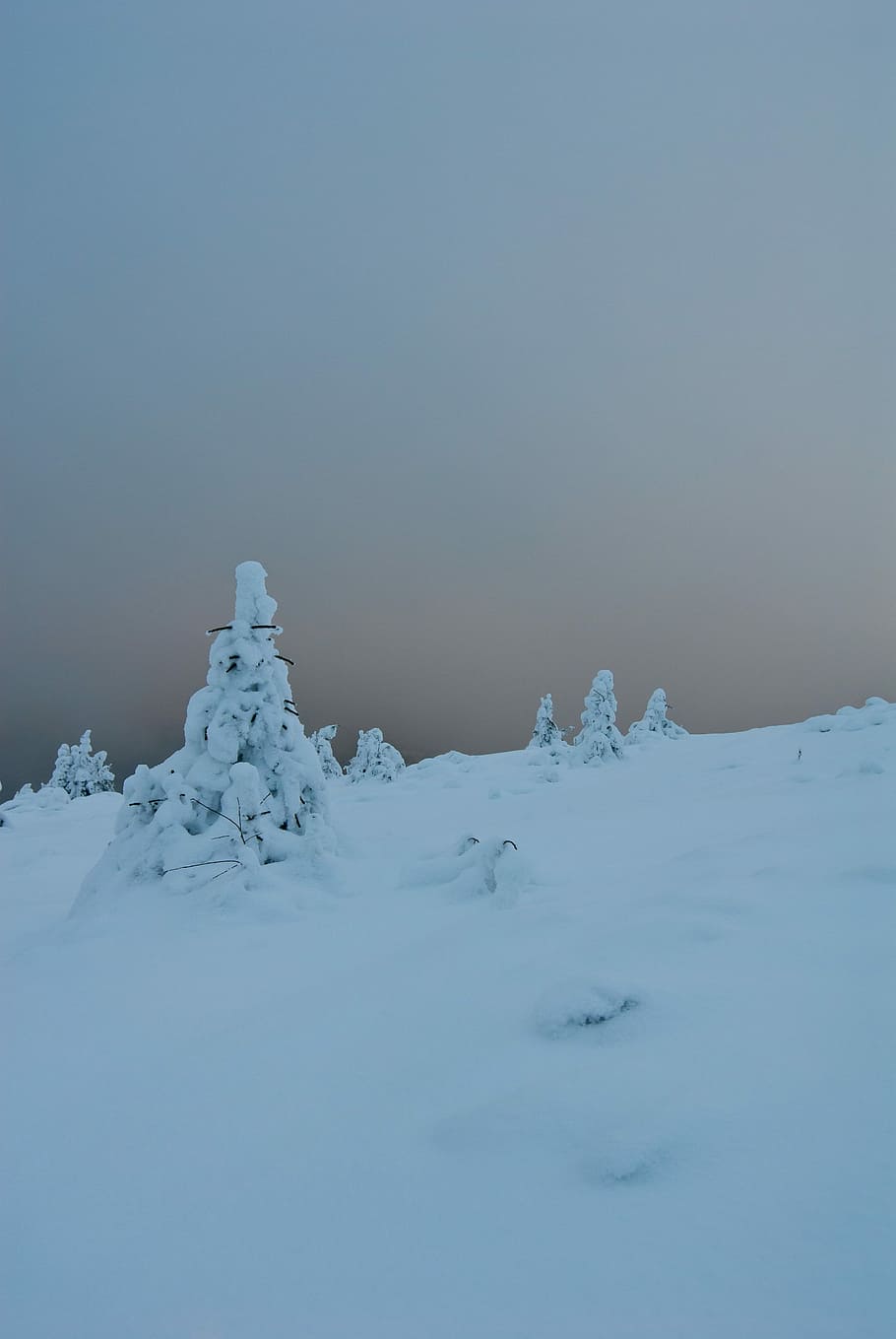 Winter, Mountain, Snow, Cold, White, frost, frozen, scenery HD wallpaper