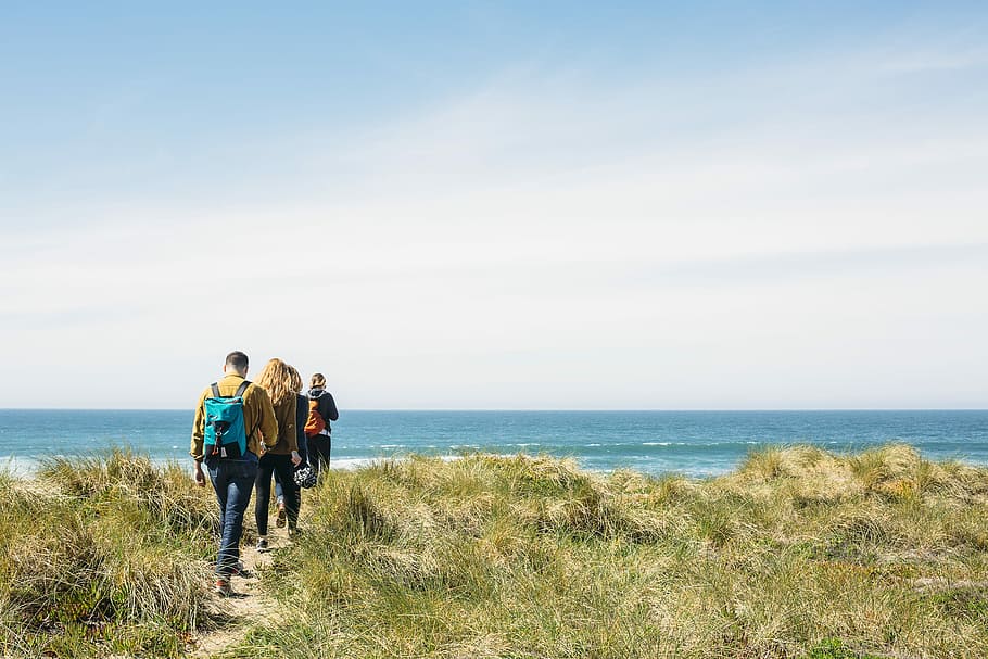 four people walking near ocean under blue sky, man, woman, walker HD wallpaper