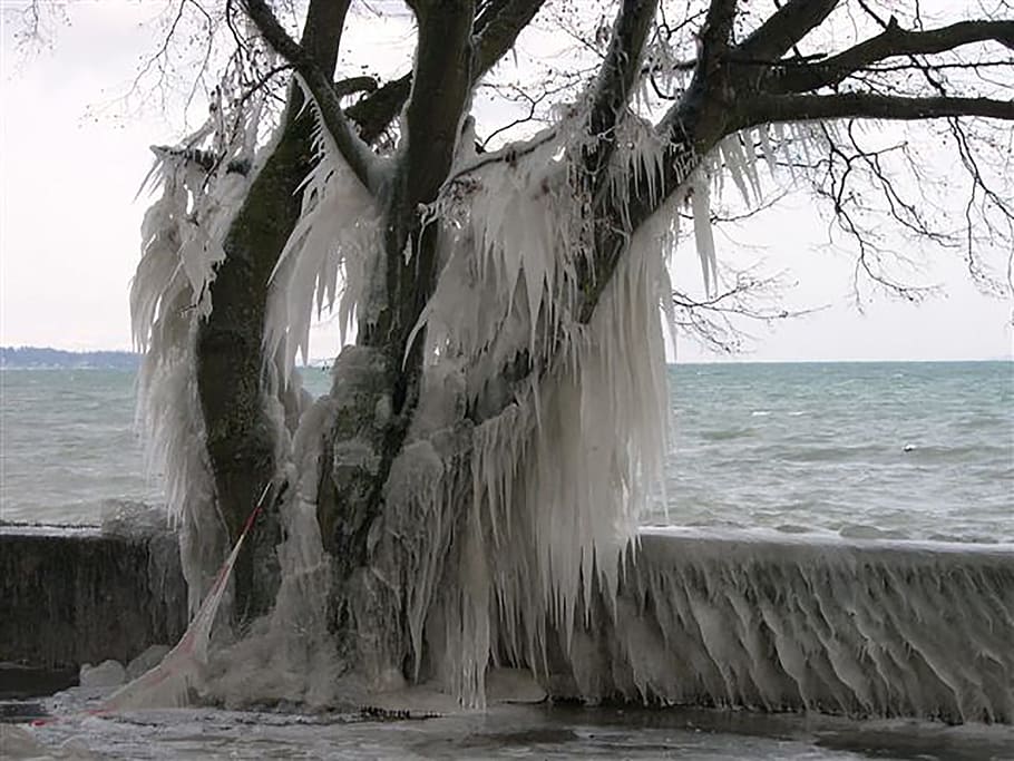 Cold, Snow, Winter, Ice, Landscapes, high, gel, white, winter landscape HD wallpaper