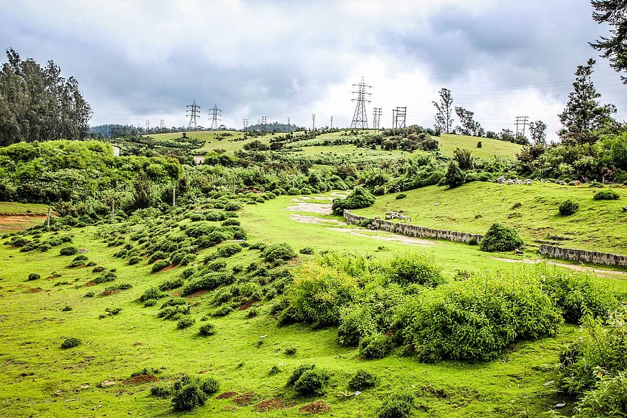green, nature, environment, grass, blue, natural, plant, clean HD wallpaper