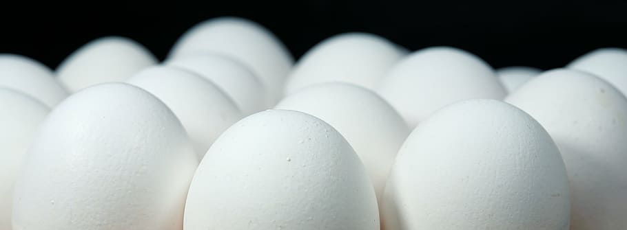 photography of chicken eggs, easter, easter egg, happy easter HD wallpaper
