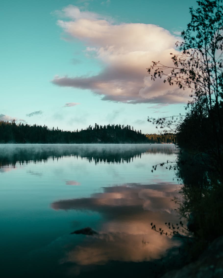 lake, water, reflection, nature, sky, clouds, coast, trees HD wallpaper