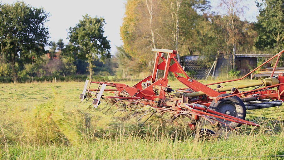 Machine, Agriculture, Device, windrower, work, agricultural machine HD wallpaper