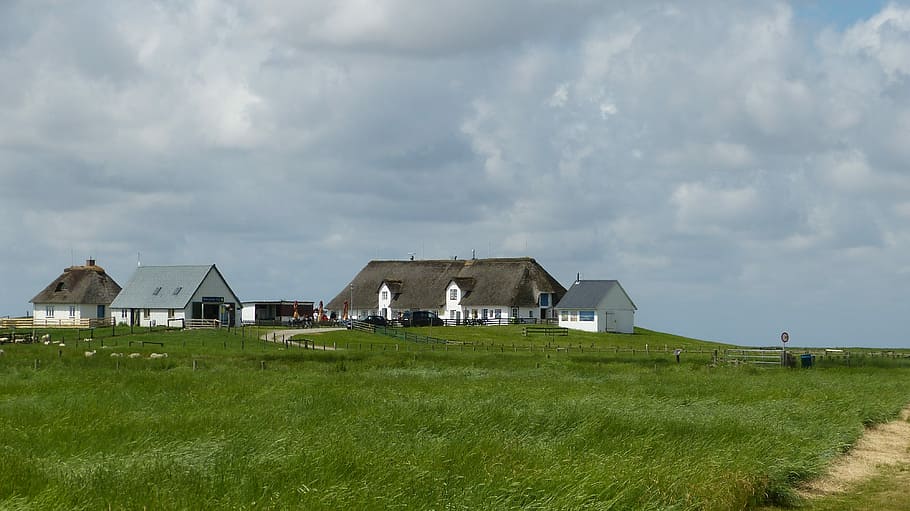 Hamburger Hallig, North Sea, Wadden Sea, sky, coast, salt meadow, HD wallpaper