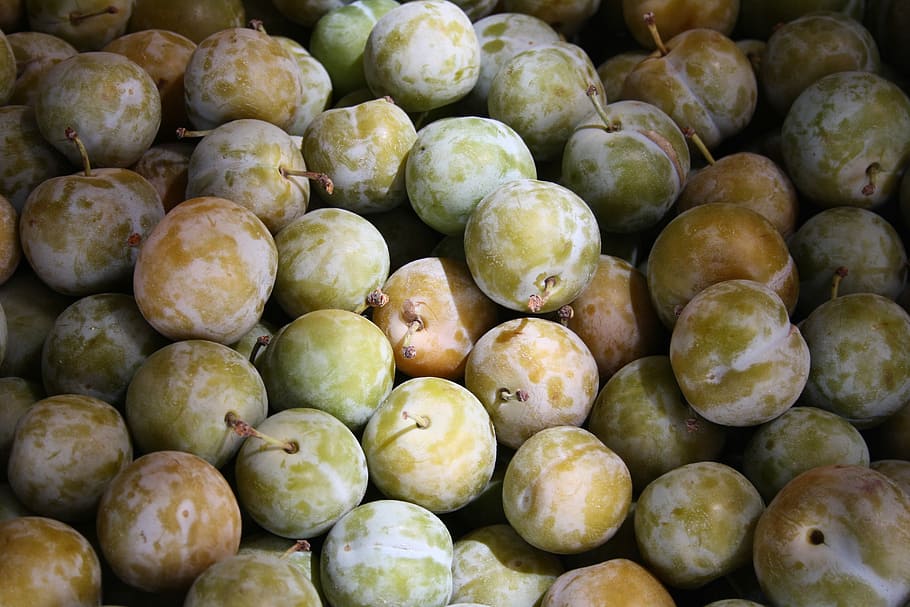 bunch of green fruits, plum, fresh, healthy, nature, food, food and drink HD wallpaper