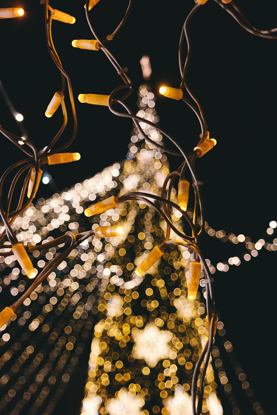 christmas, lights, lighting, dark, night, electricity, illuminated HD wallpaper