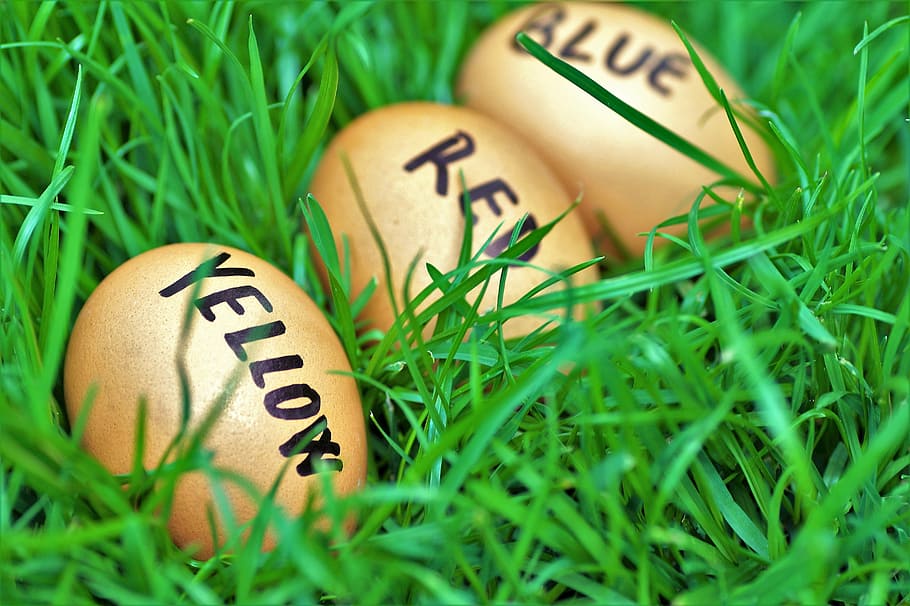 easter, eggs, easter eggs, joke, color eggs, easter time, spring HD wallpaper
