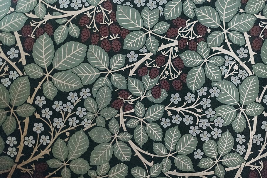 flowers painting, teal, black, red, and white foliage and floral surface HD wallpaper