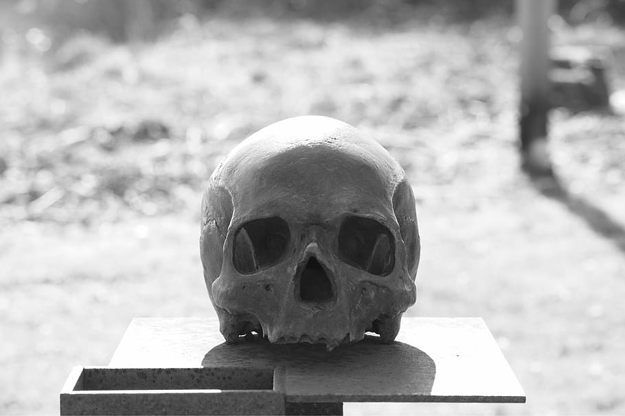 grayscale photography of human skull, head, skull and crossbones