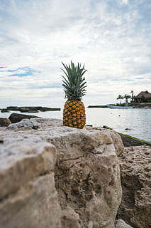 pineapple, dessert, appetizer, fruit, juice, crop, rock, nature HD wallpaper