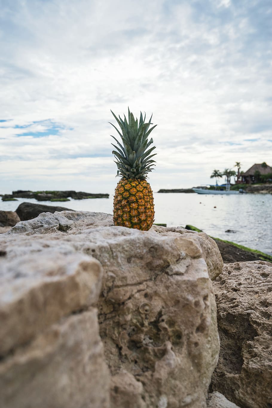 pineapple, dessert, appetizer, fruit, juice, crop, rock, nature HD wallpaper