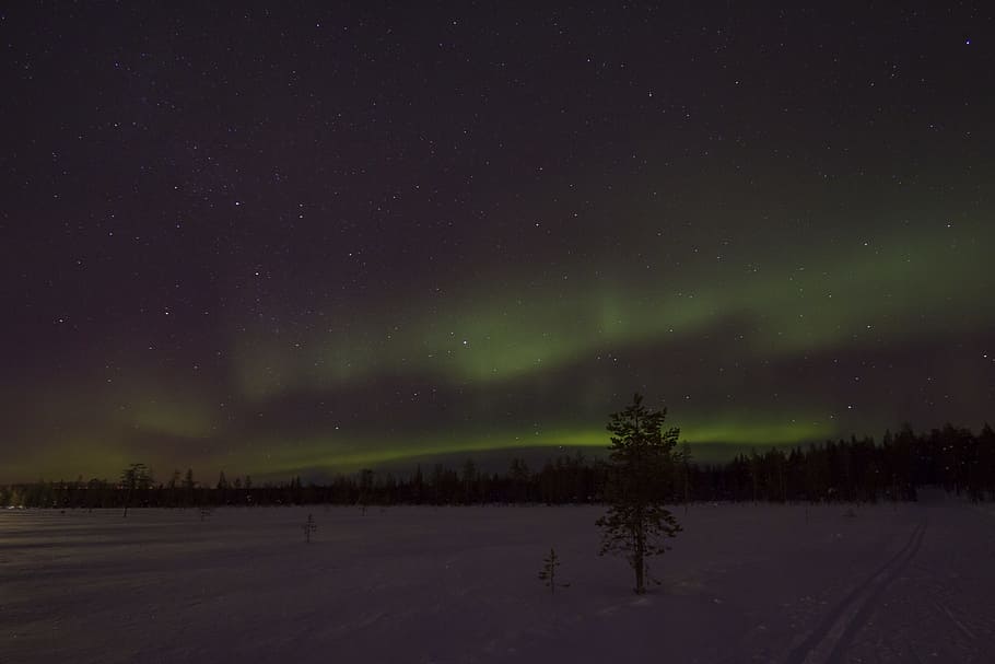 lapland, winter, aurora, aurora borealis, night, finland, finnish lapland, HD wallpaper