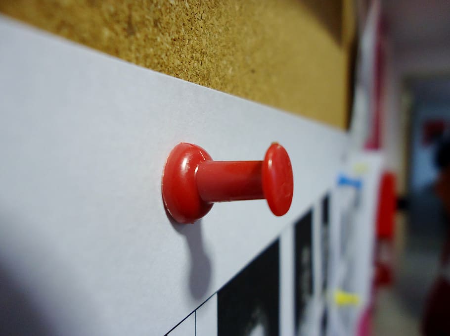 bug, red, paper, wall, fixing, close-up, no people, safety HD wallpaper