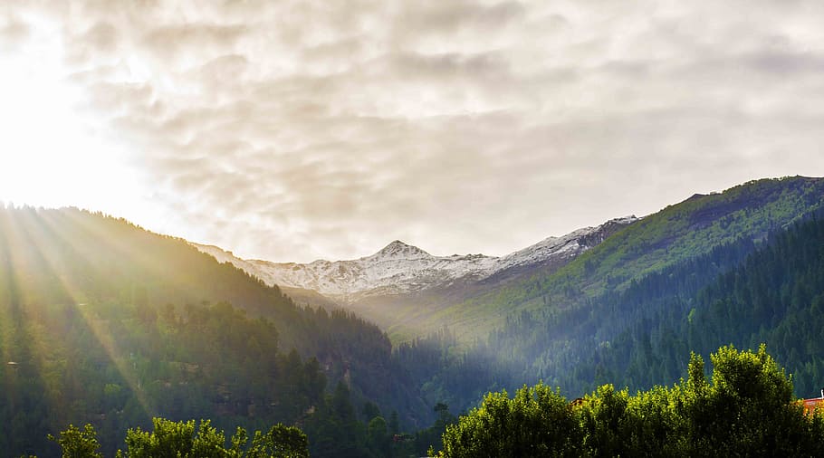 trees on mountains, nature, landscape, summer, travel, adventure HD wallpaper