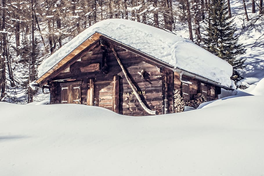 cold, snow, wood, forest, bungalow, cabin, house, hut, log cabin HD wallpaper