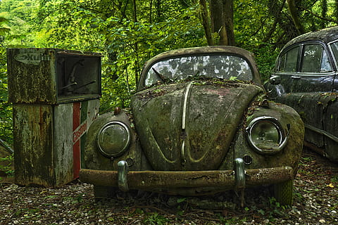 green Volkswagen Beetle coupe near trees, auto, car cemetery HD wallpaper