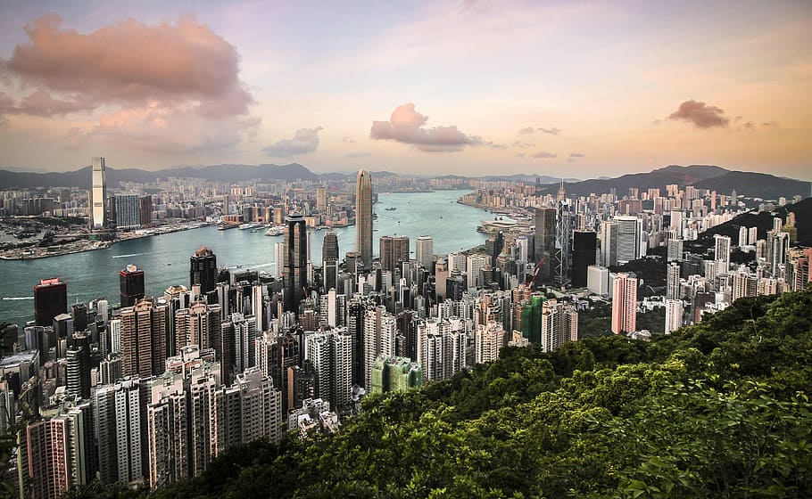 aerial photography of city, body of water, and forest, aerial photography of city buildings HD wallpaper