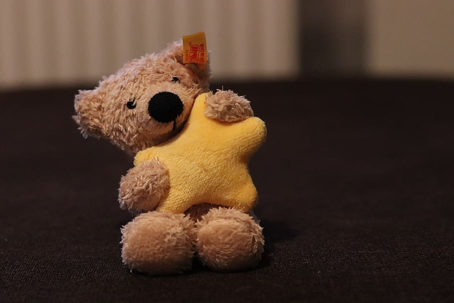 teddy, teddy bear, steiff, soft toy, star, cuddly, stuffed toy HD wallpaper