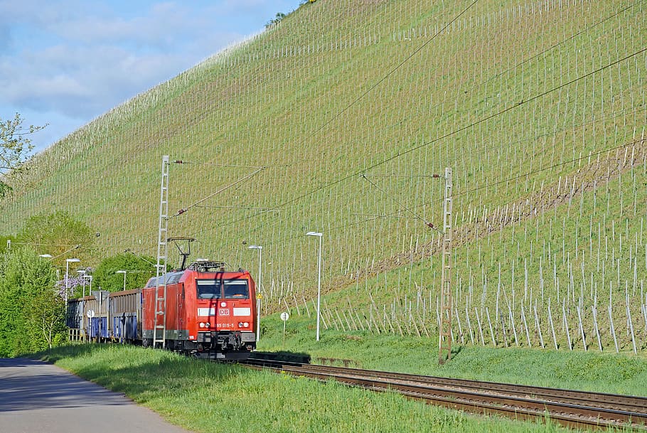 vineyard, slope, saar valley, spring, april, foliation, railway HD wallpaper