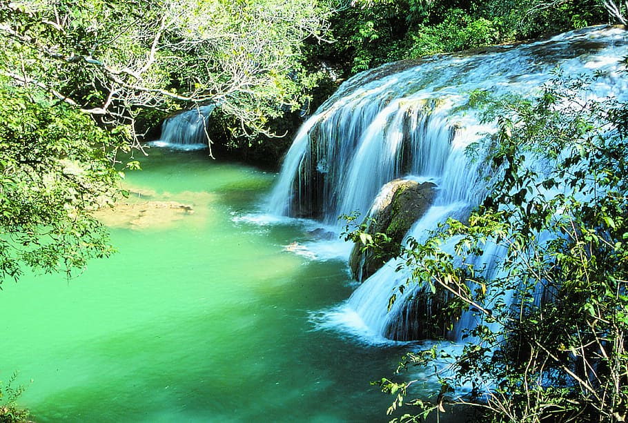 waterfall beside trees, nature, forest, river, tropical Rainforest HD wallpaper