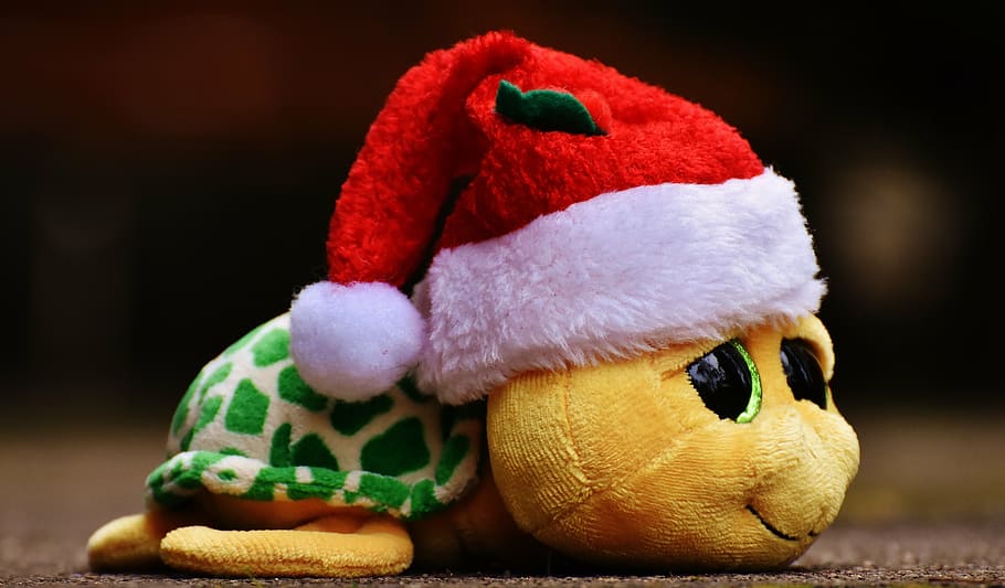 santa frog plush toy, christmas, turtle, stuffed animal, soft toy, HD wallpaper