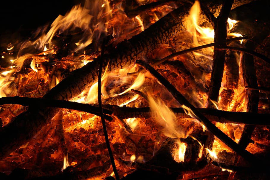 Fire, Flame, Wood, wood fire, heat - temperature, burning, night HD wallpaper